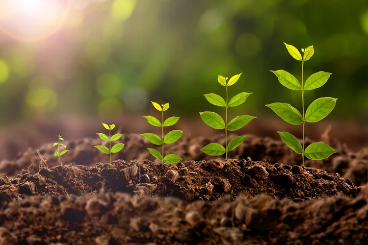 KERAMIDA — Environmental Services — ISO Management Systems