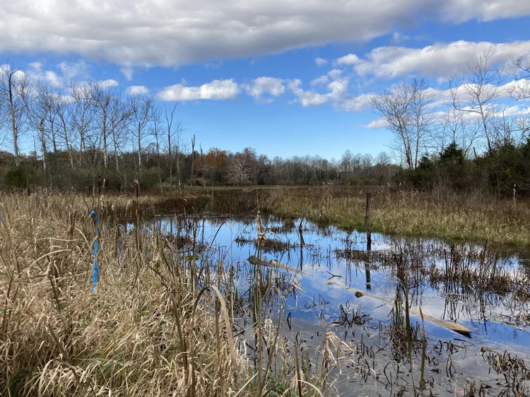 KERAMIDA — Environmental Services — Natural Resources Consulting and Ecological Services