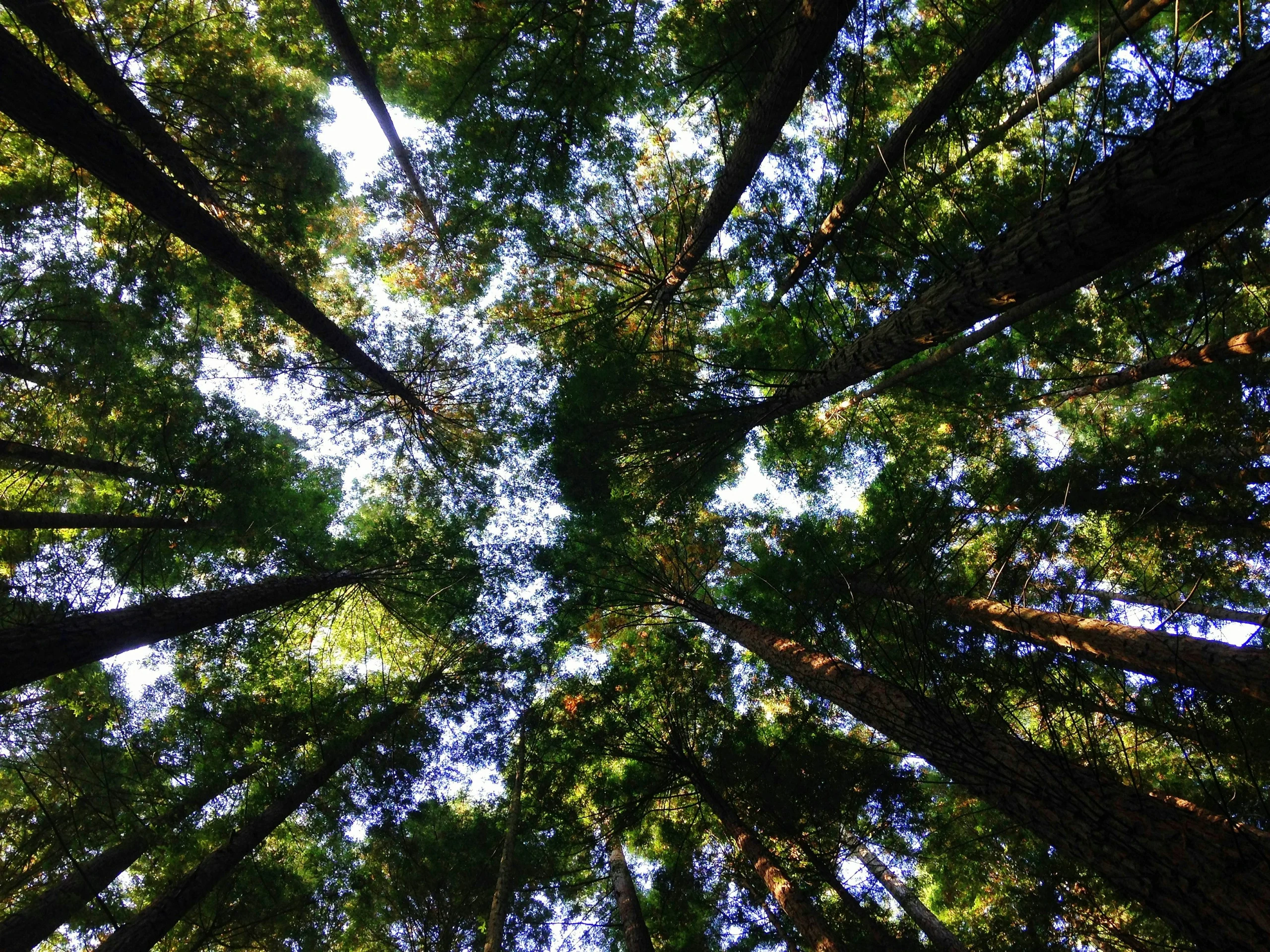 KERAMIDA — Global Strategic Advisor for Sustainability, EHS, and Engineering Services Firm2
