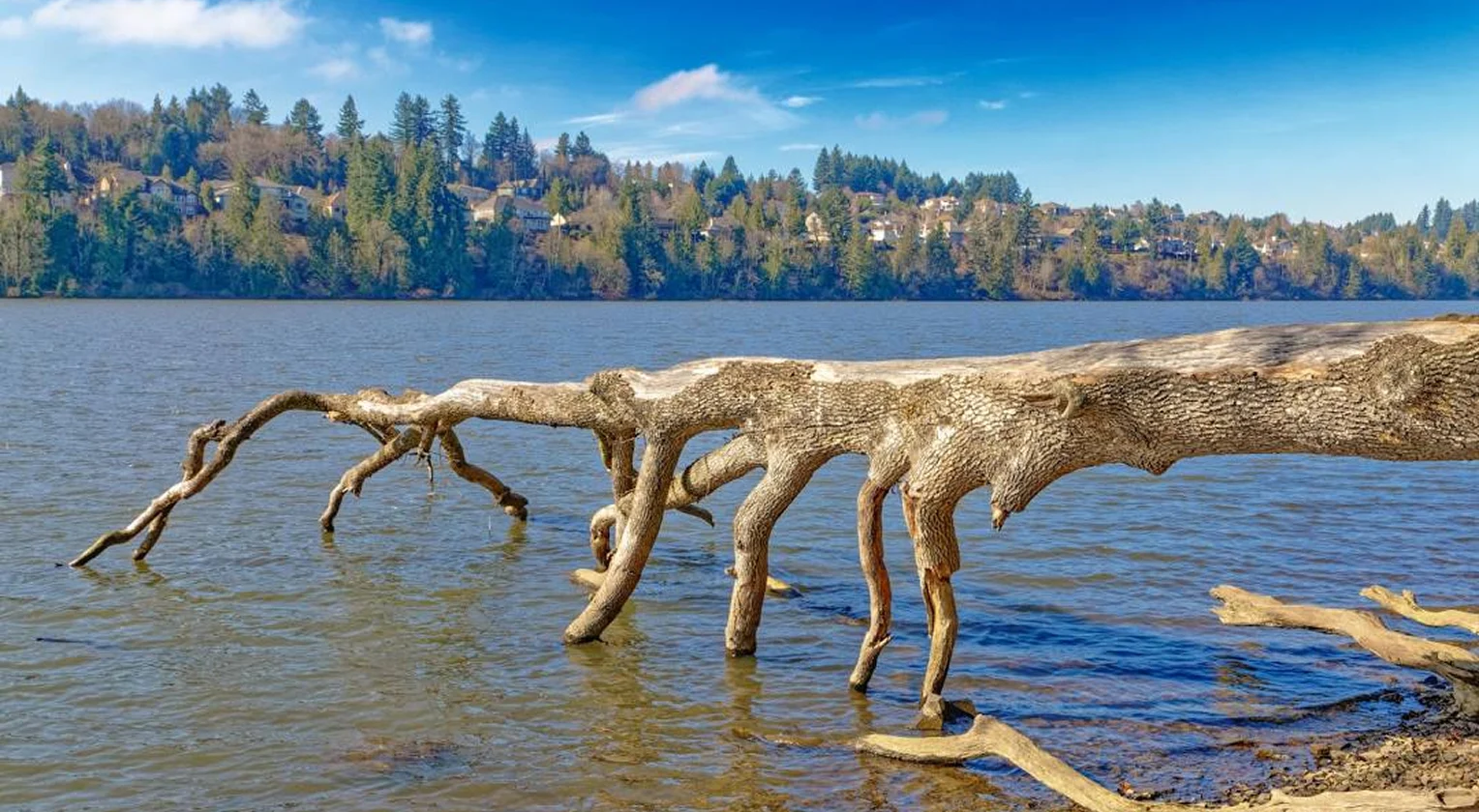 KERAMIDA — Locations Camas, Washington
