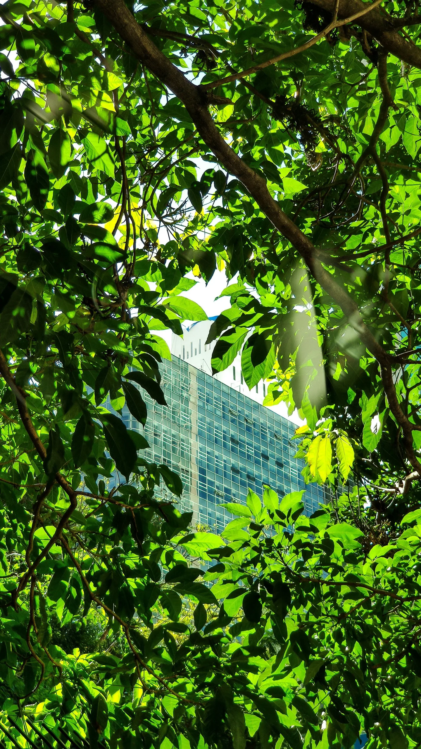 KERAMIDA — Sustainability — Climate and Decarbonization Consulting Services — GHG Inventory Services