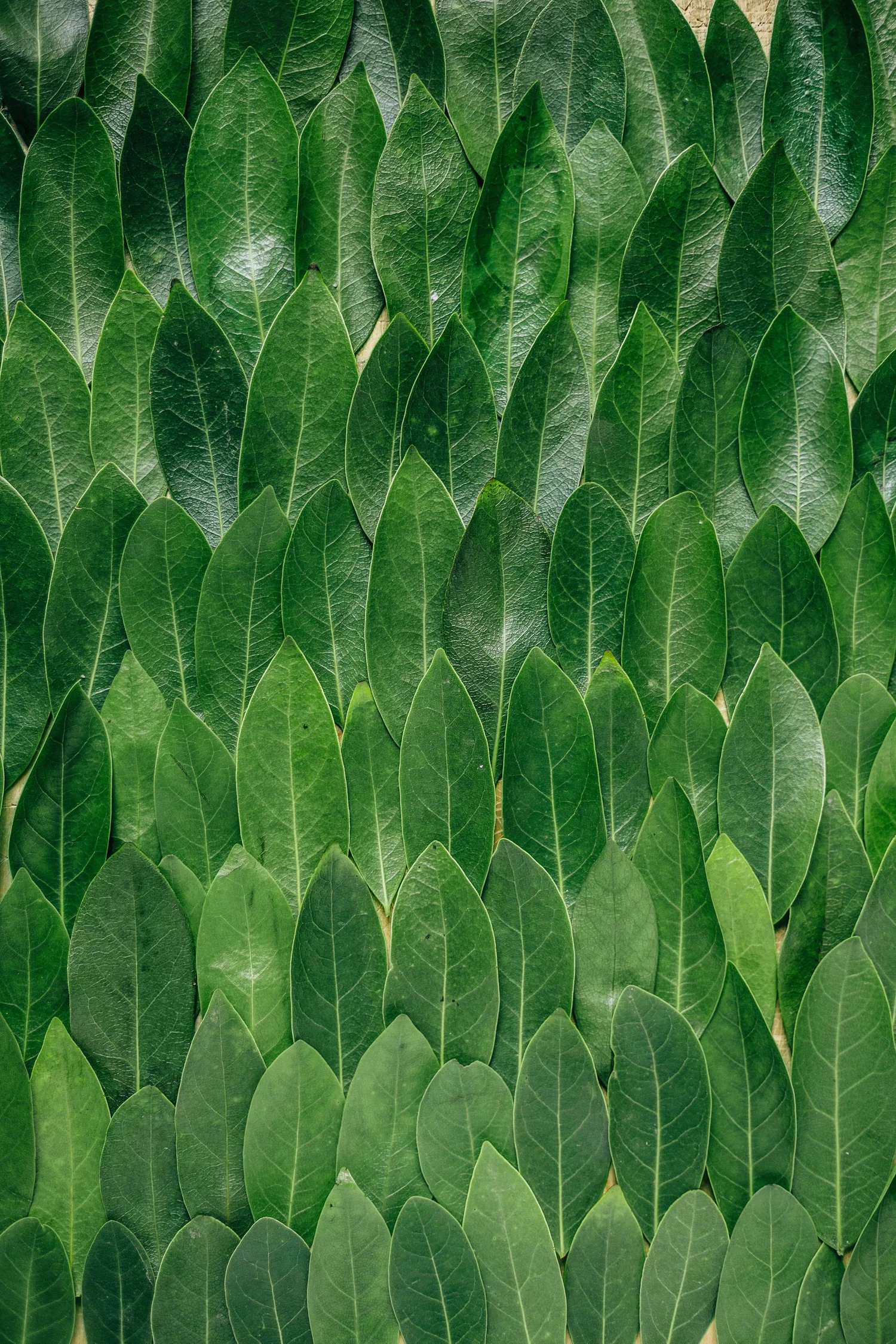 KERAMIDA — Sustainability — Sustainability and ESG Advisory Services — Sustainability Training