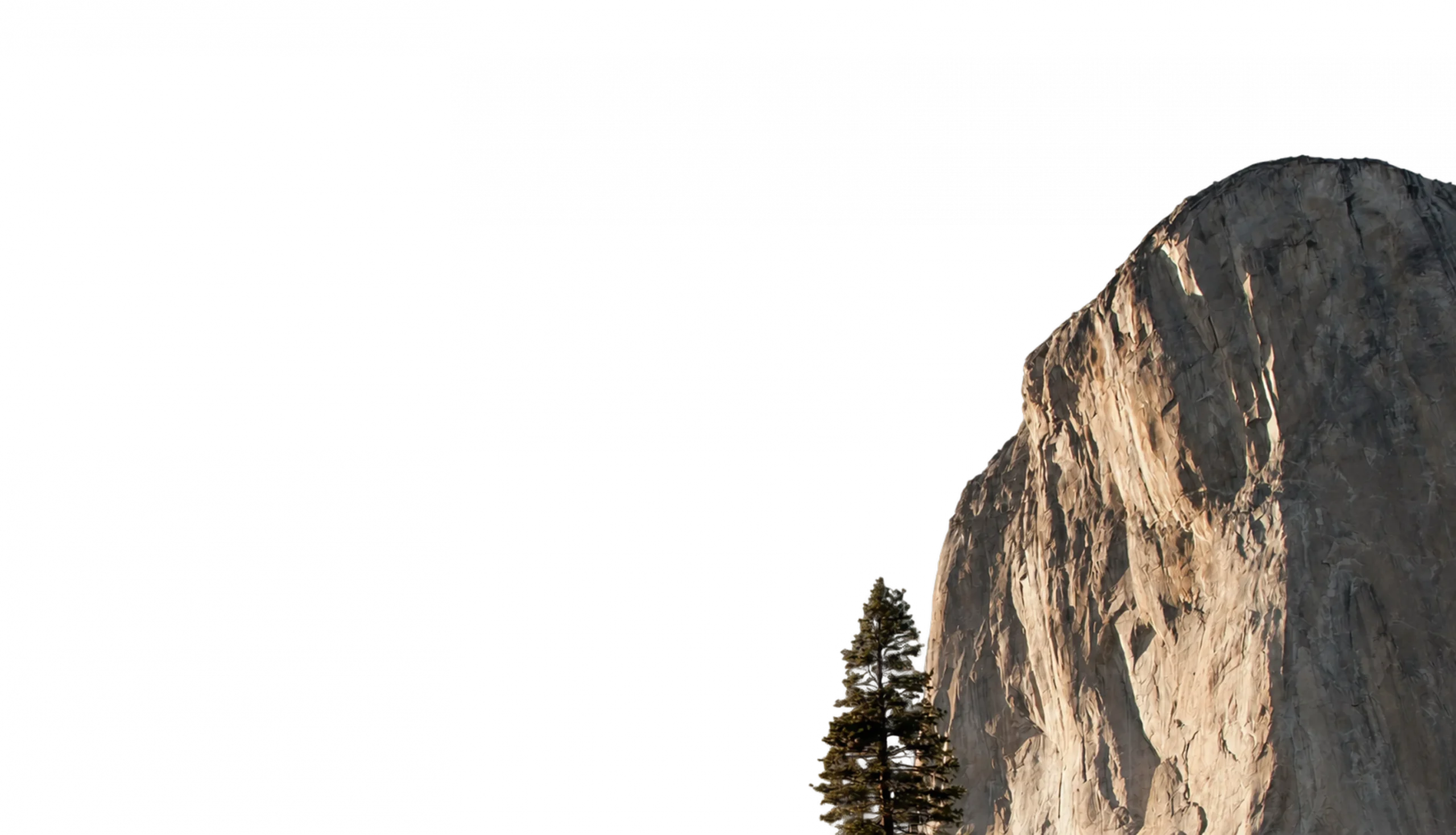 layer_2