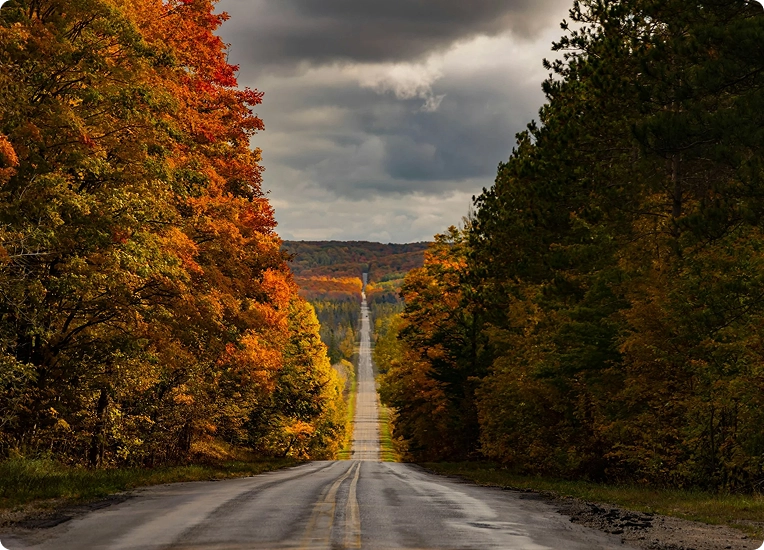 Executive Sustainability Training for Toyota Material Handling North America
