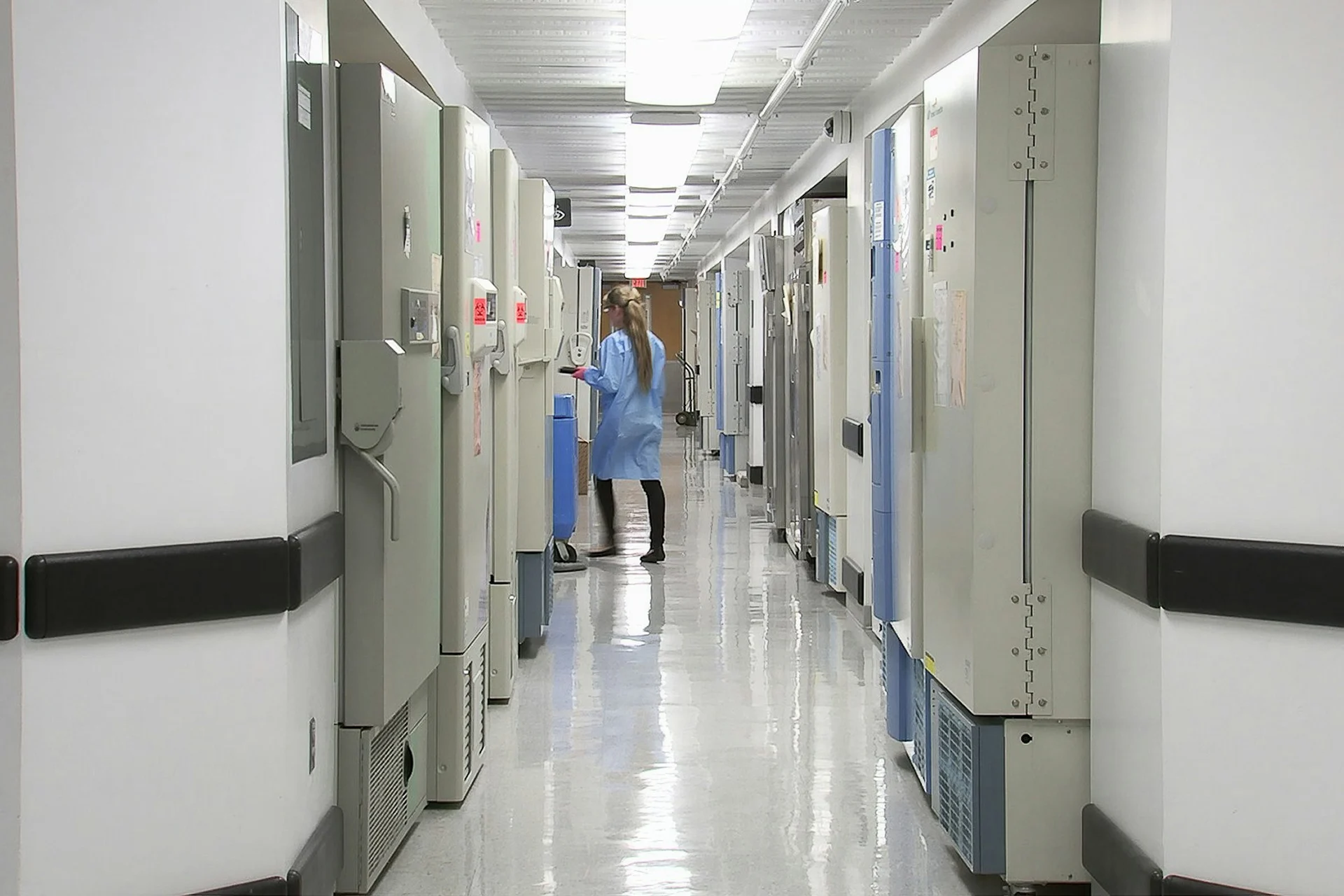 KERAMIDA — Services — Environmental, Health and Safety Audits 5