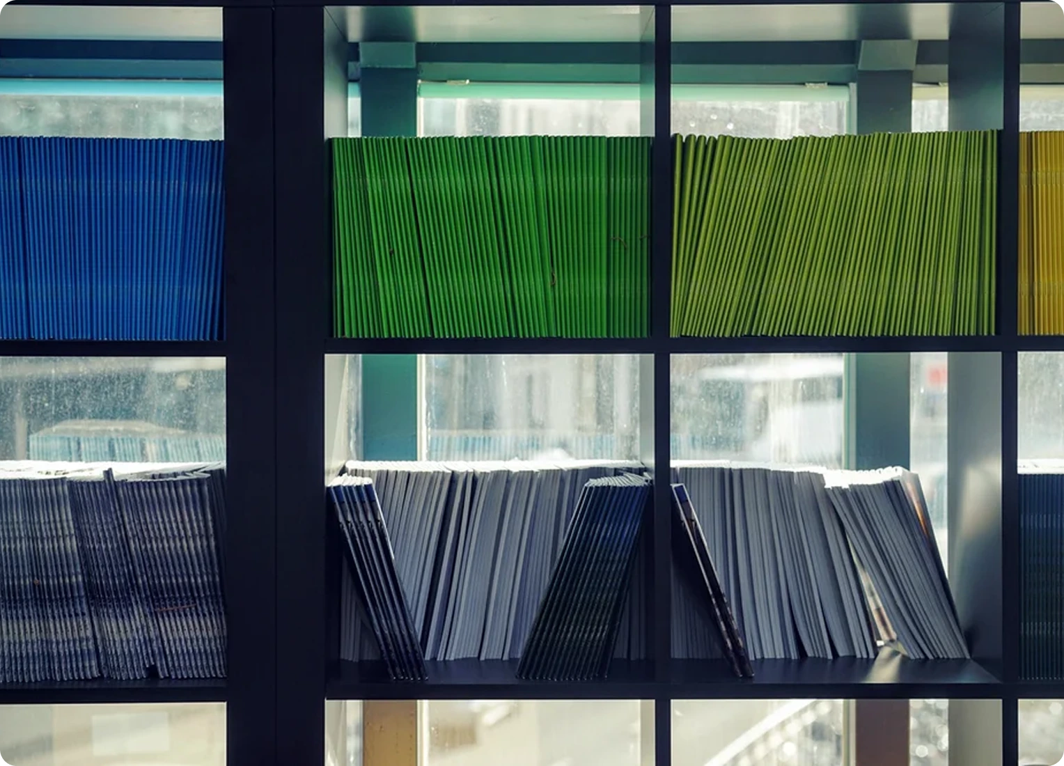 Publications & Presentations